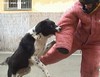 Addestramento Cani da Guardia e PROTEZIONE FAMILIARE